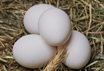Eggs: The Nutritional Powerhouse